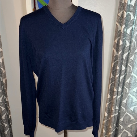 J Crew 100% Merino Wool V Neck Sweater Medium - Picture 1 of 8